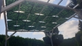 Wasserdichtes Pavillon-Sonnensegel mit grünem Pflanzendruck auf einer weißen Pergola-Konstruktion