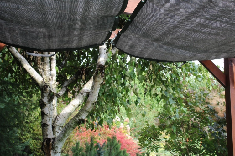 Vela ombreggiante in HDPE grigio su misura montata su un pergolato in legno in giardino accanto a una betulla