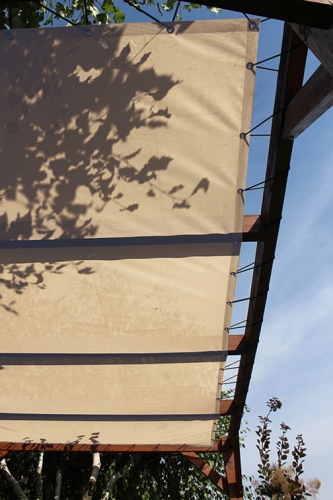 Custom-sized HDPE sun shade sail mounted on a wooden pergola with elastic bungees and shadows of leaves.