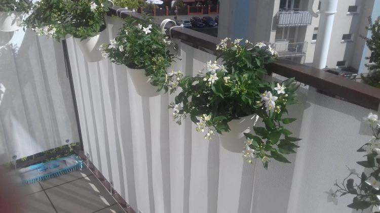 White balcony privacy screen installed on a railing with hanging white flower pots and a blue mop on the floor.