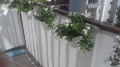 White balcony screening installed on a metal railing with white flowering plants in hanging pots.