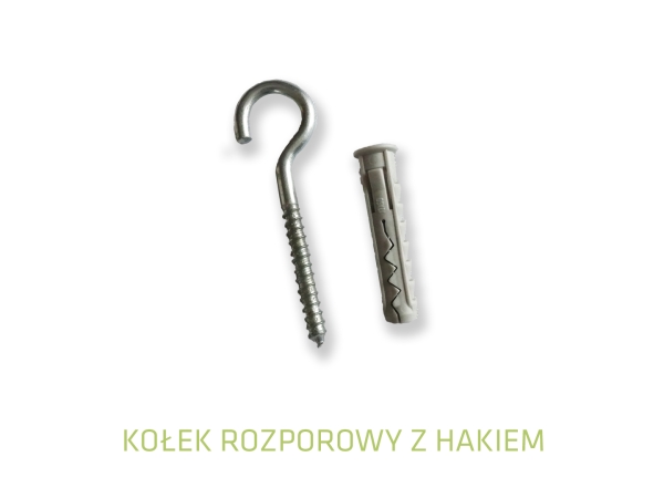 Expansion wall plug with a steel screw-in hook for masonry mounting on a white background.