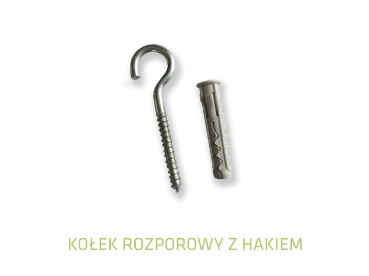 Expansion wall plug with a steel screw-in hook for masonry mounting on a white background.