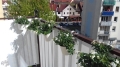 White balcony privacy screen mounted on a railing with flower pots, overlooking a neighborhood street and buildings.