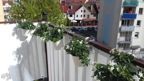 White balcony privacy screen mounted on a railing with flower pots, overlooking a neighborhood street and buildings.