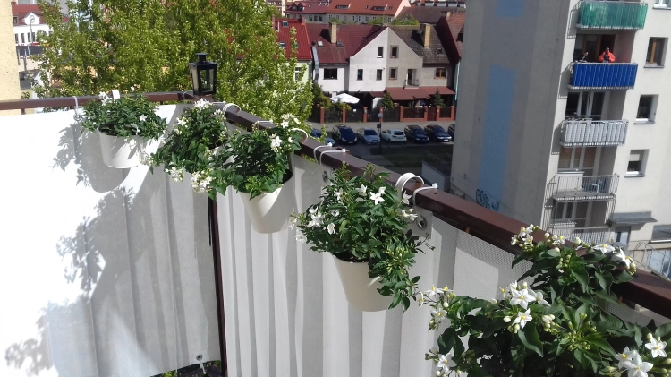 White balcony privacy screen mounted on a railing with flower pots, overlooking a neighborhood street and buildings.
